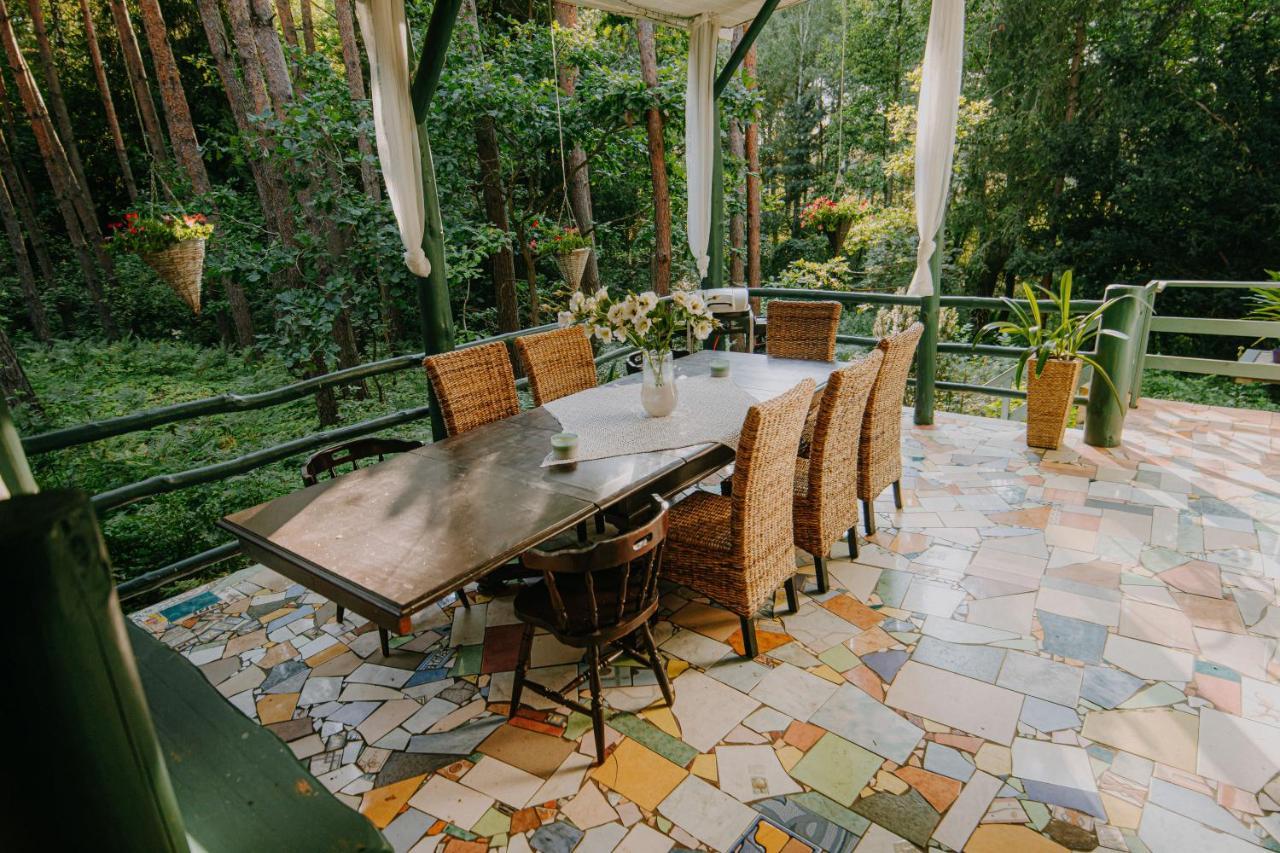 Zacisze Lesne Nad Pilica Bed & Breakfast Spała Dış mekan fotoğraf