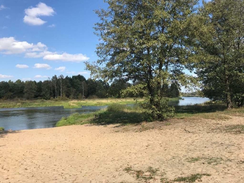 Zacisze Lesne Nad Pilica Bed & Breakfast Spała Dış mekan fotoğraf
