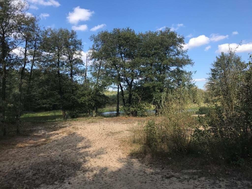 Zacisze Lesne Nad Pilica Bed & Breakfast Spała Dış mekan fotoğraf
